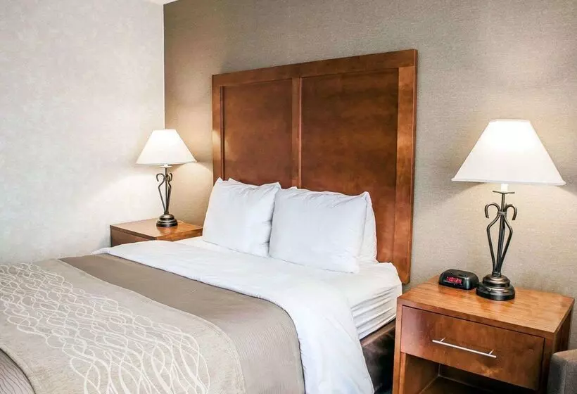 فندق Quality Inn Seekonkprovidence