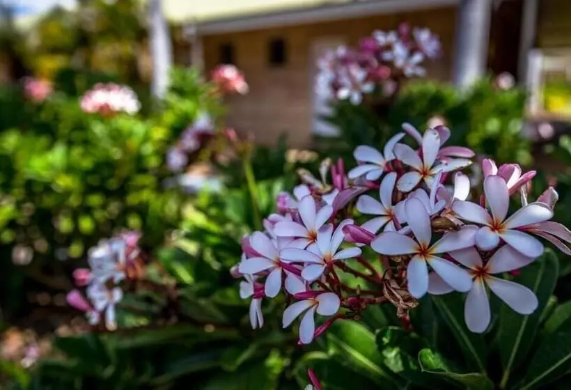 호텔 The Kimberley Grande Resort