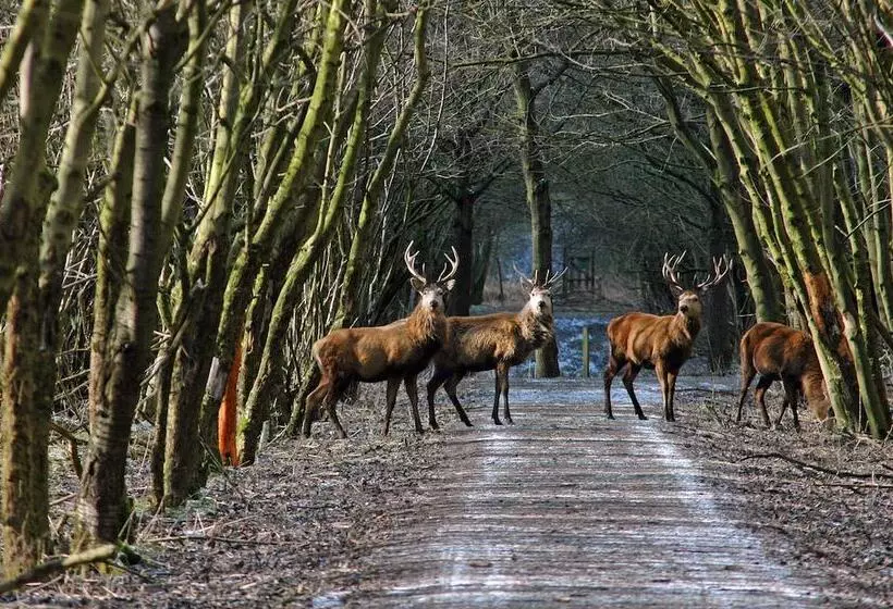 Van Der Valk Hotel Almere