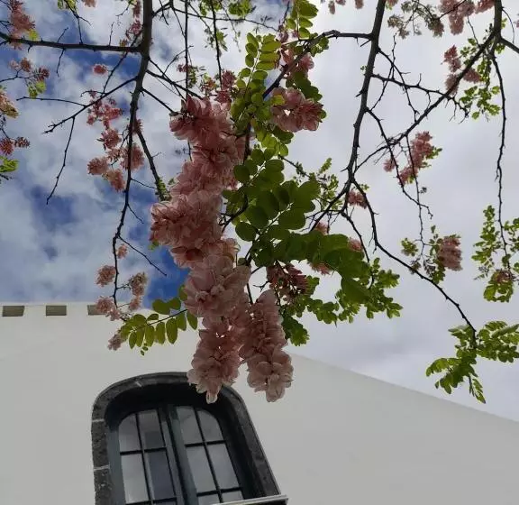 Apartamentos Da Galé