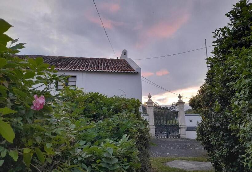 Apartamentos Da Galé