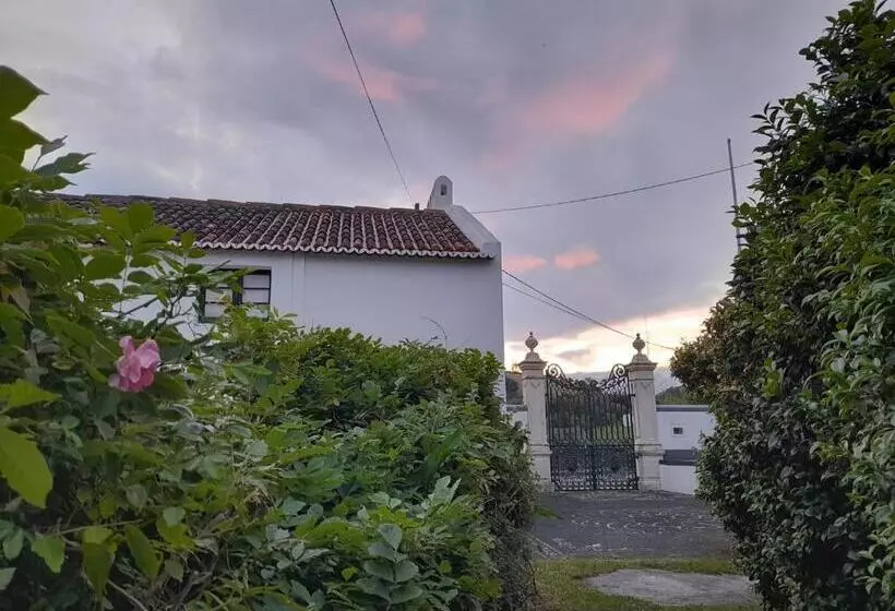 Apartamentos Da Galé