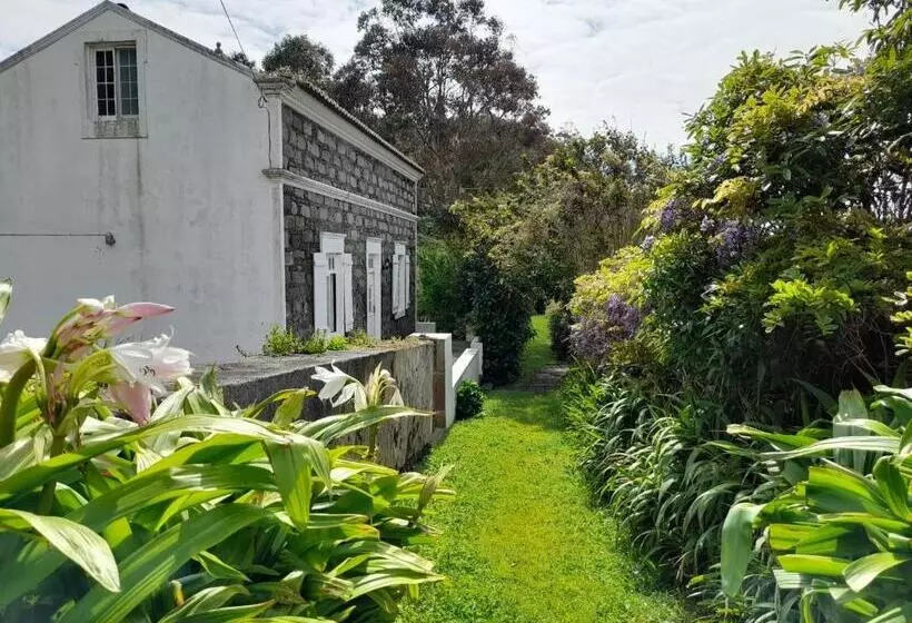 Apartamentos Da Galé