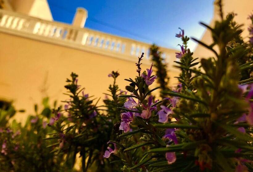 Bed and Breakfast 100 Craste