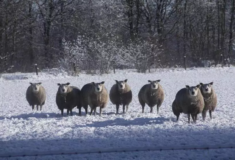 Aamiaismajoitus (B&B) Skoallehus Vakantiewoning