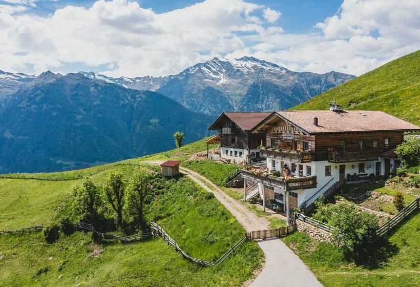 Отель Ferienwohnungen Wiesbauer