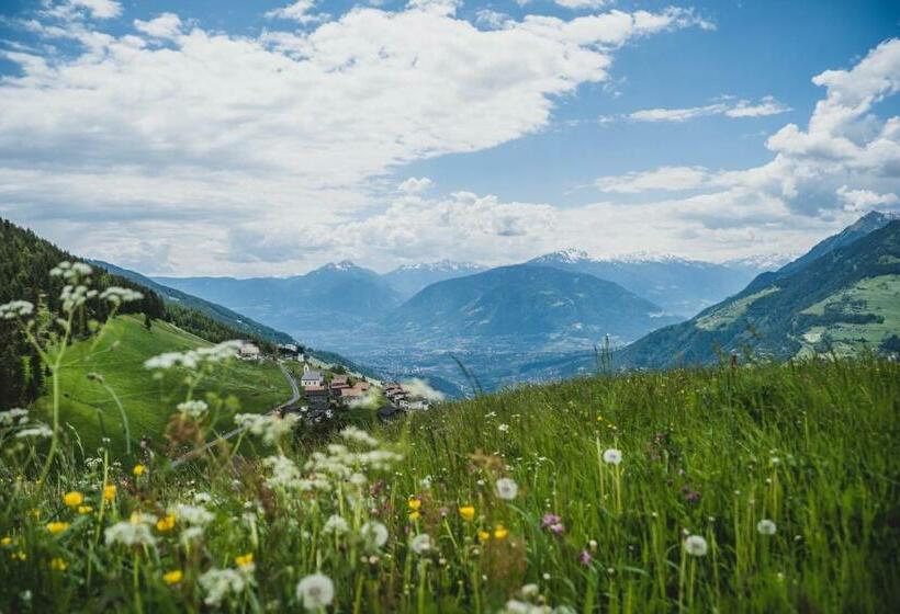 Отель Ferienwohnungen Wiesbauer
