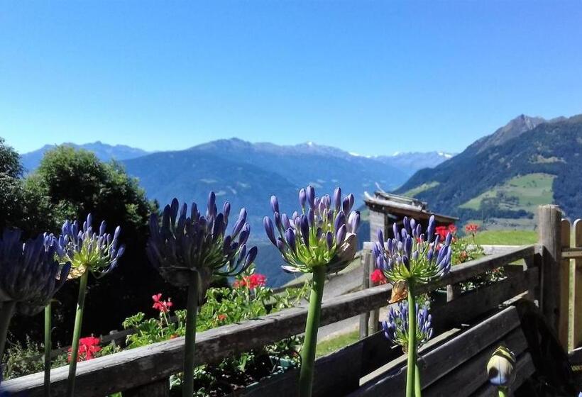 Отель Ferienwohnungen Wiesbauer