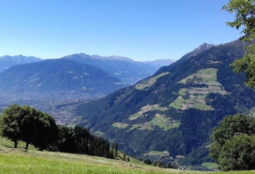 Отель Ferienwohnungen Wiesbauer