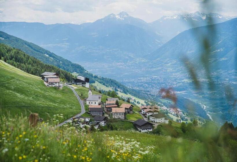 Отель Ferienwohnungen Wiesbauer