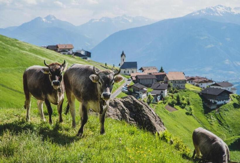 Отель Ferienwohnungen Wiesbauer