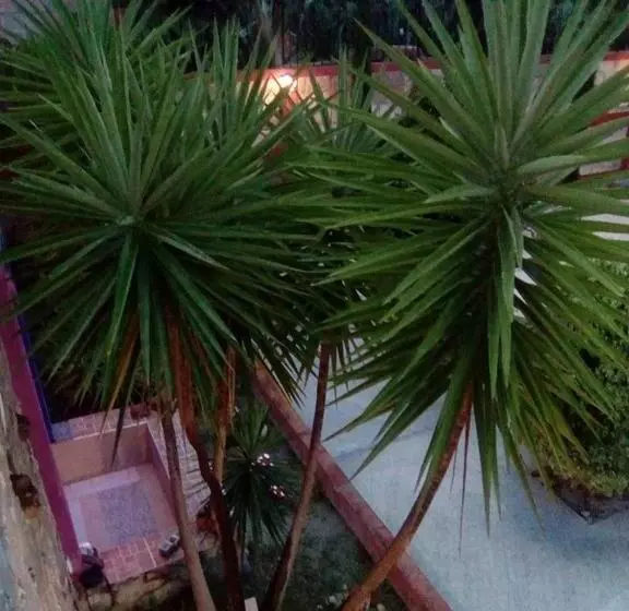 ホテル Mirador Real