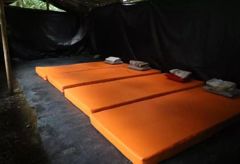 Majatalo Thomas  Retreat Bukit Lawang