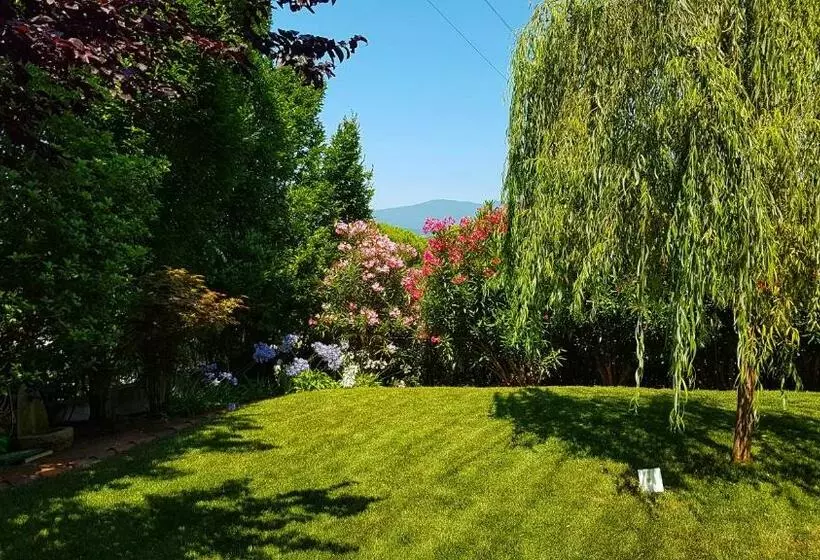 Asso Bed & Breakfast