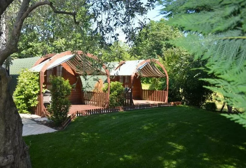 Asso Bed & Breakfast