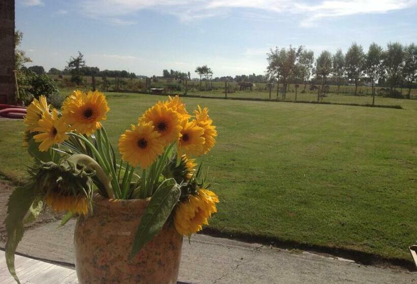 ベッドアンドブレックファースト Kokkelikoo