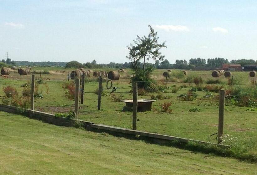 ベッドアンドブレックファースト Kokkelikoo