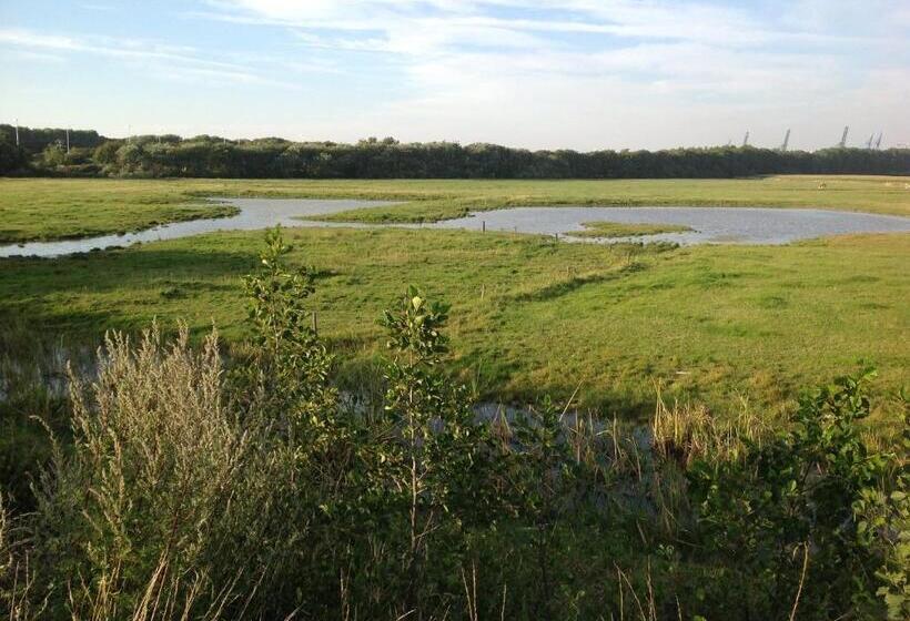 ベッドアンドブレックファースト Kokkelikoo