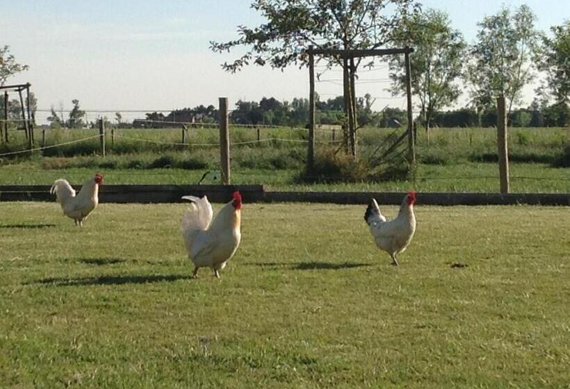 ベッドアンドブレックファースト Kokkelikoo