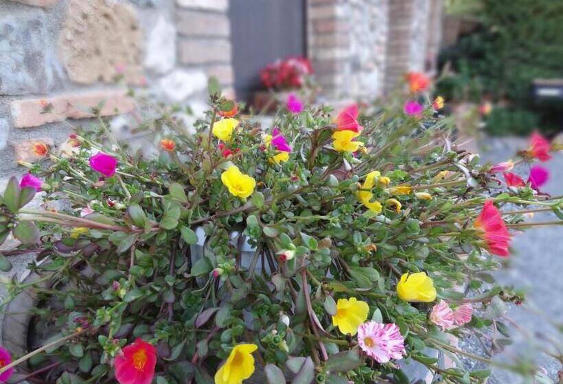 בית מלון כפרי Agriturismo Bandinacci