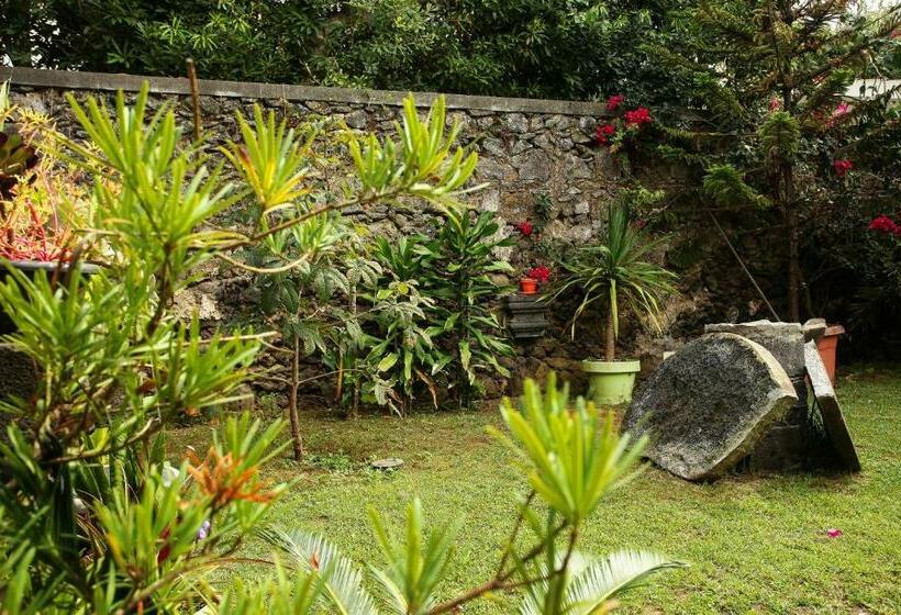 هتل Casa Do Pico Arde