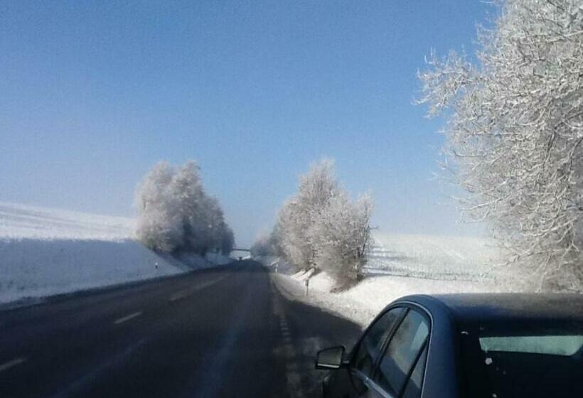 פנסיון Guest House Pizzeria Pazza Da Gianni