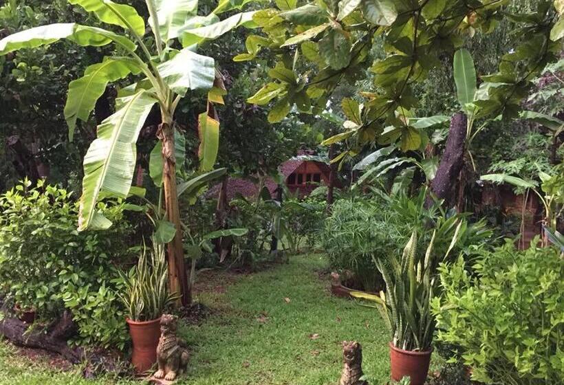 פנסיון Sang Tong Huts