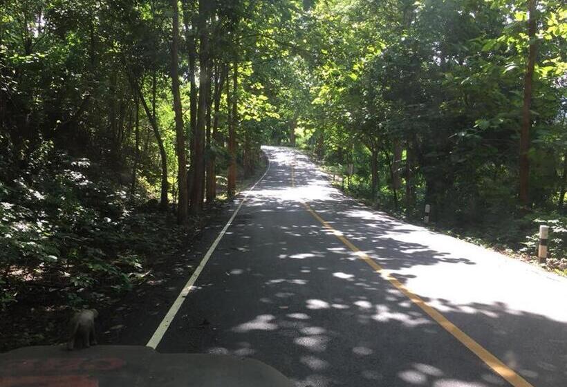 פנסיון Sang Tong Huts