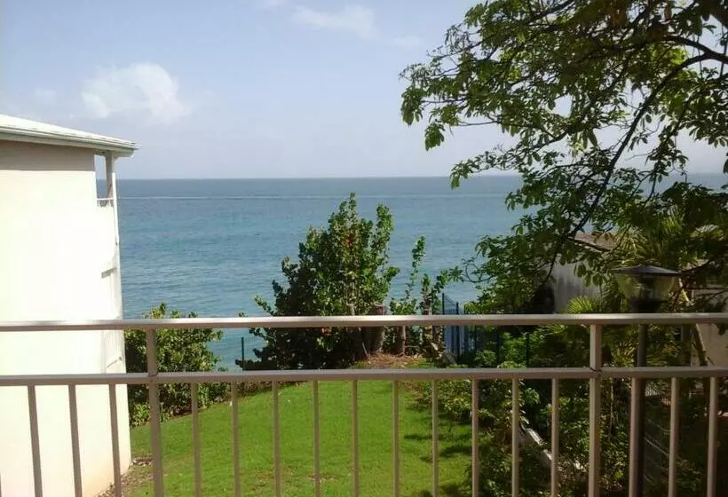 Résidence De La Vielle Tour   Studio Particulier Vue Mer