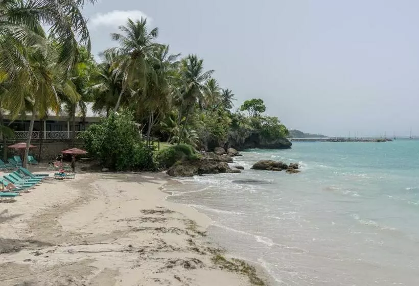 Résidence De La Vielle Tour   Studio Particulier Vue Mer