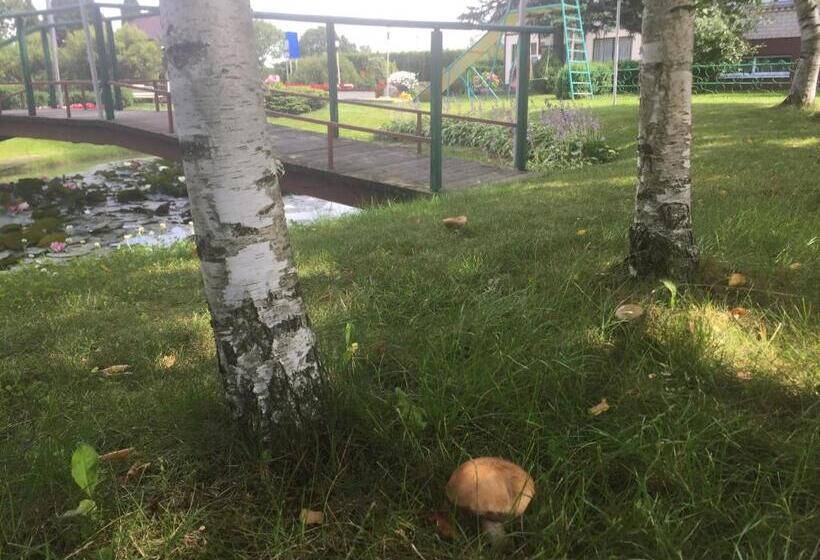 هاستل Airovita Kambariai Nakvynei