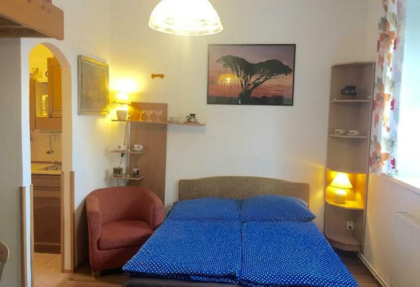 פנסיון Chalupa U Potoka