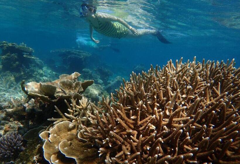 Ayu Hotel Karimunjawa