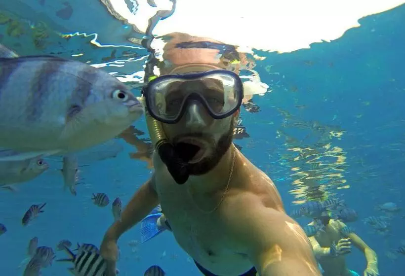 Ayu Hotel Karimunjawa