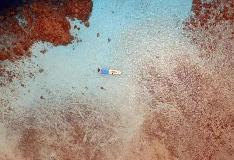 Ayu Hotel Karimunjawa