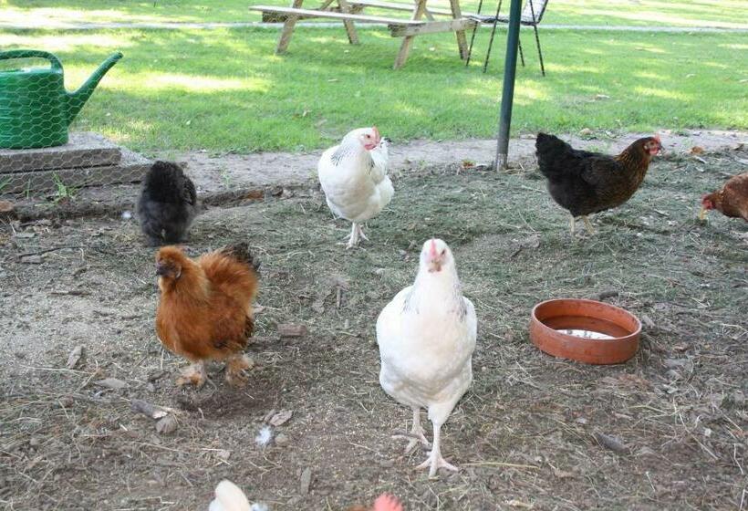 צימר Biedermeier