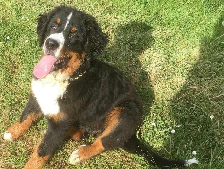 مبيت وإفطار Domaine Du Val De Soux