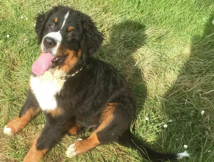 Aamiaismajoitus (B&B) Domaine Du Val De Soux