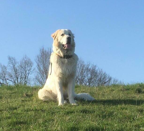 مبيت وإفطار Domaine Du Val De Soux