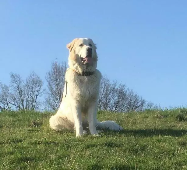 Aamiaismajoitus (B&B) Domaine Du Val De Soux