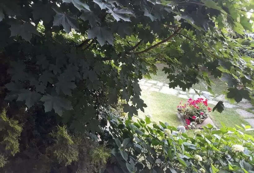 Aamiaismajoitus (B&B) Il Melograno