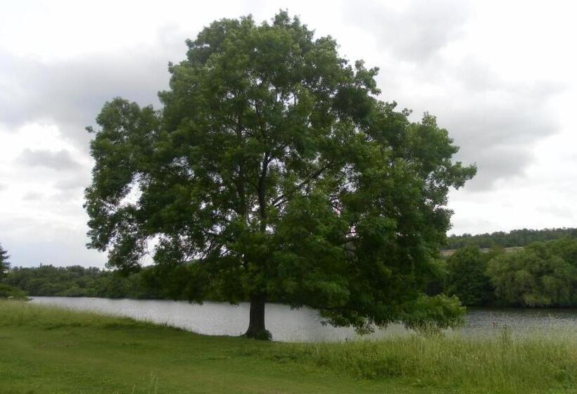 ベッドアンドブレックファースト Vakantie Studio Eijsden