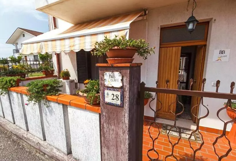 Colibri B&b