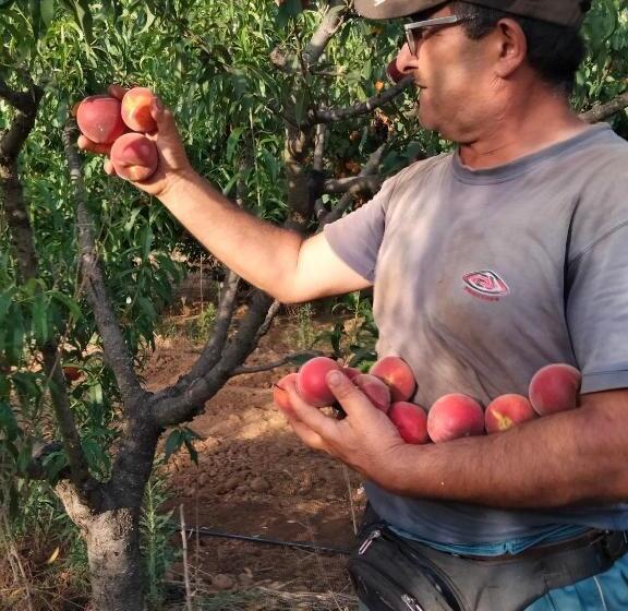 Hotel Agriturismo I Doni Del Mandorlo