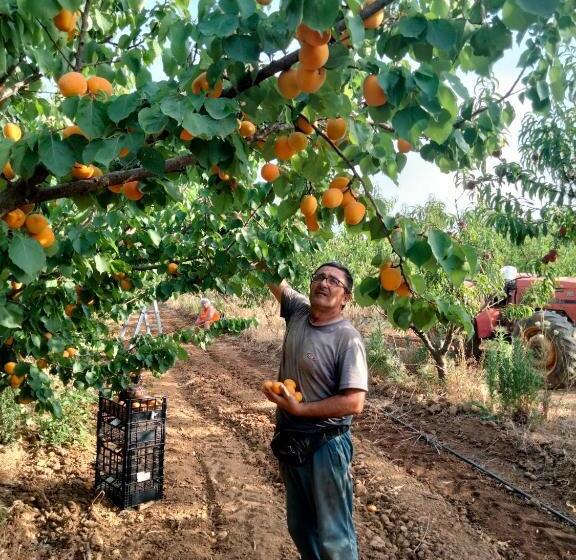 Hotel Agriturismo I Doni Del Mandorlo