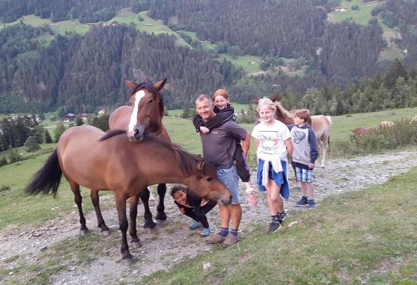 Отель Pongitzerhof