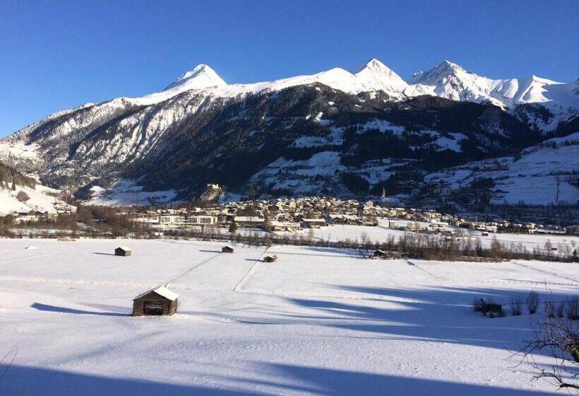 Отель Pongitzerhof