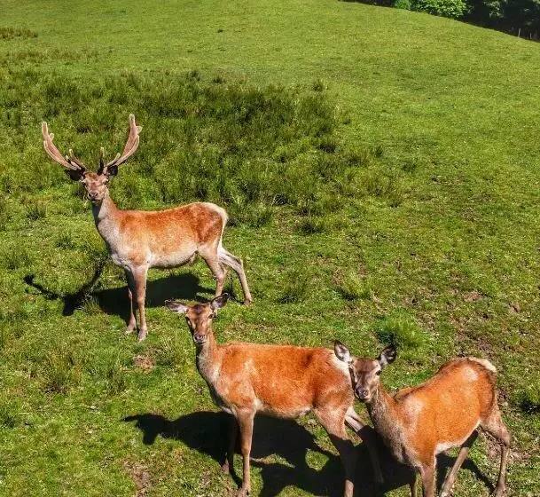 Majatalo Berghof Haselsberger