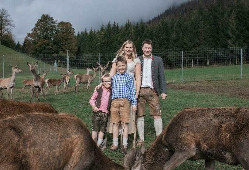 펜션 Berghof Haselsberger