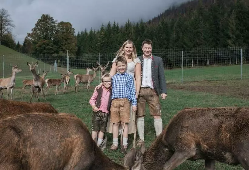 Majatalo Berghof Haselsberger